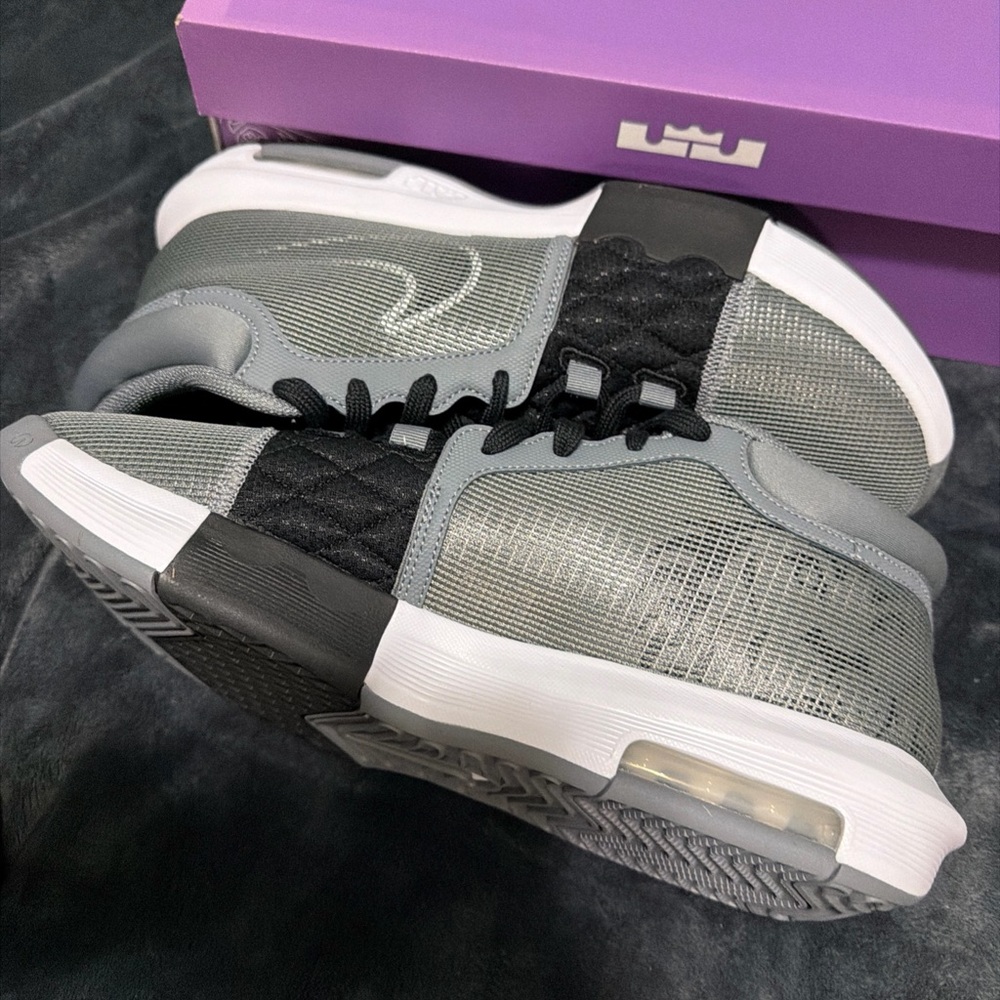LeBron witnesses VIII